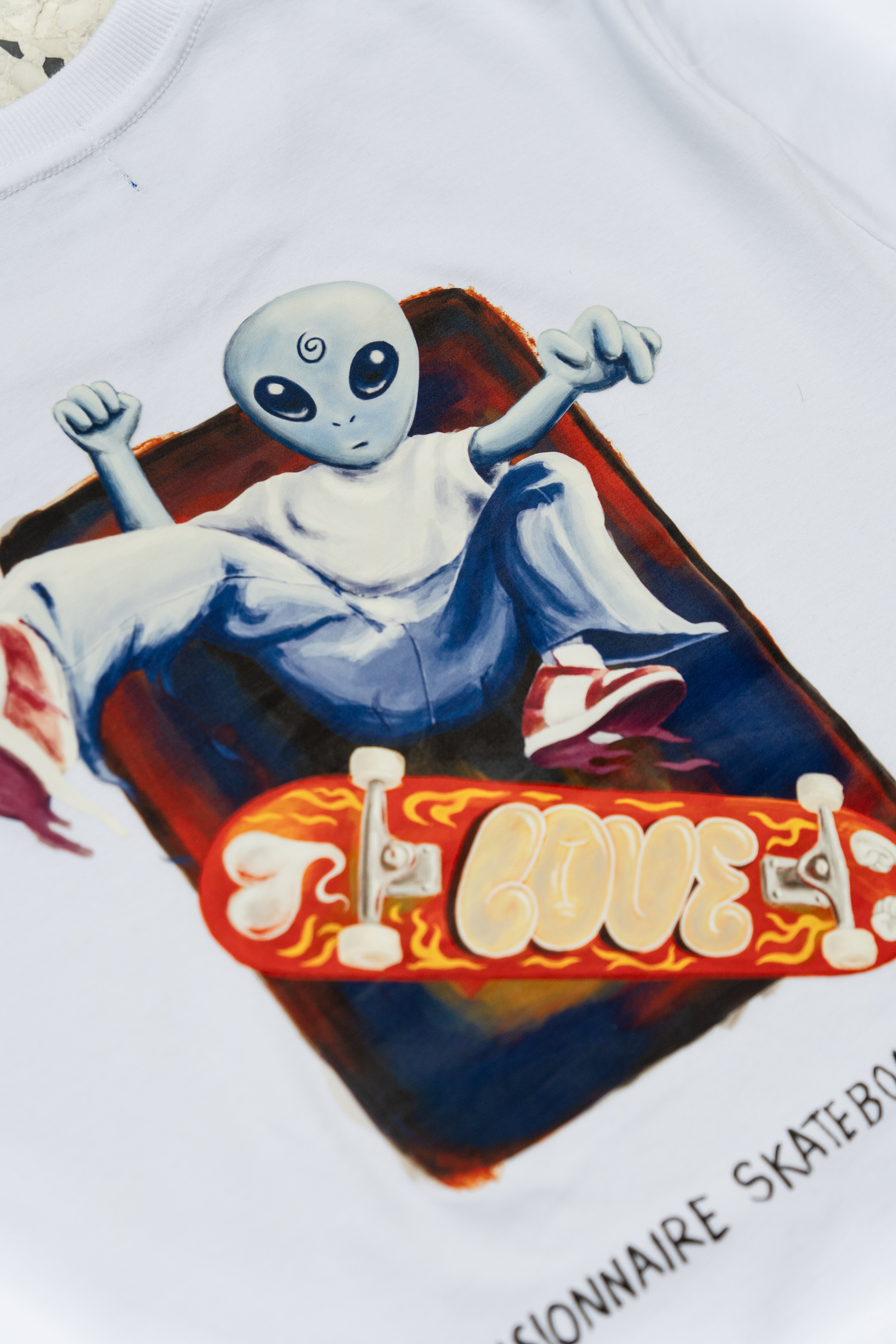 Hidden Visionnaire Skateboarding Association